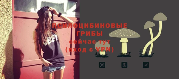 твердый Армянск
