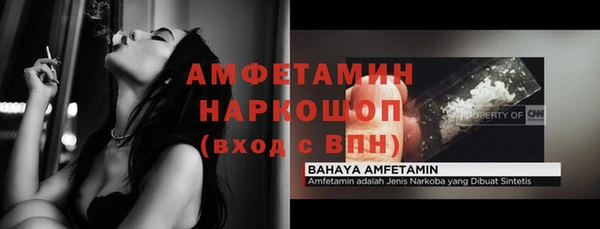 прущие грибы Балахна