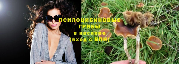 хмурый Баксан
