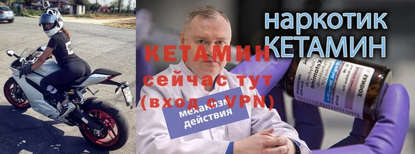 прущие грибы Балахна