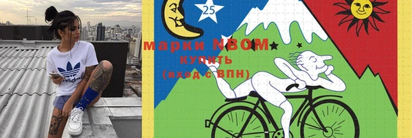 прущие грибы Балахна