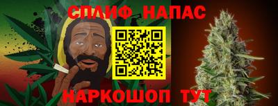 тгк Бийск