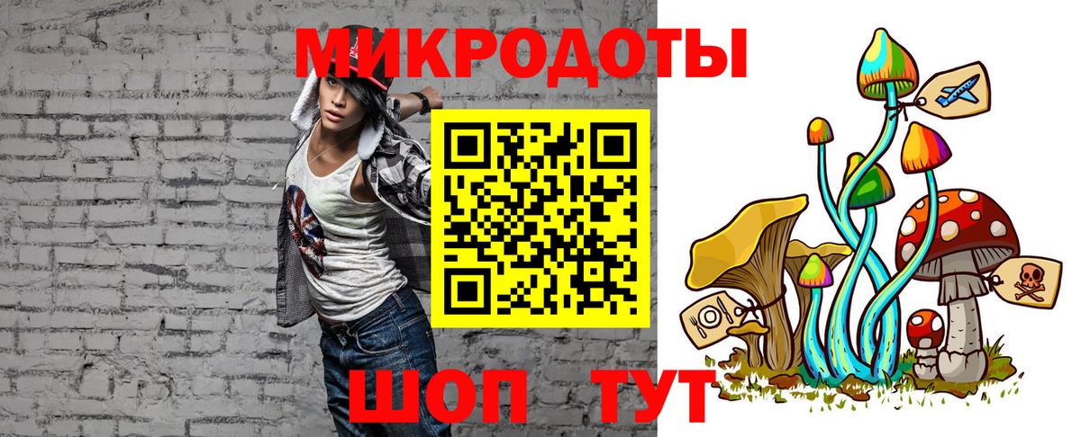 Галлюциногенные грибы Psilocybine cubensis Гай