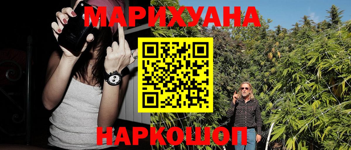 Бошки марихуана конопля Гай